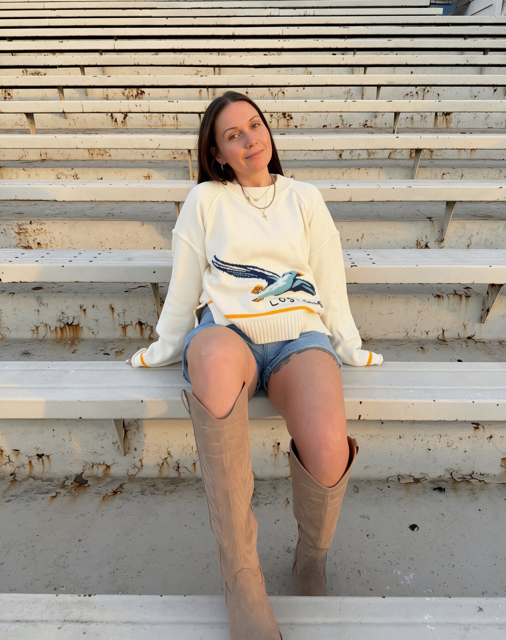 Coastal Seagull Graphic Sweater