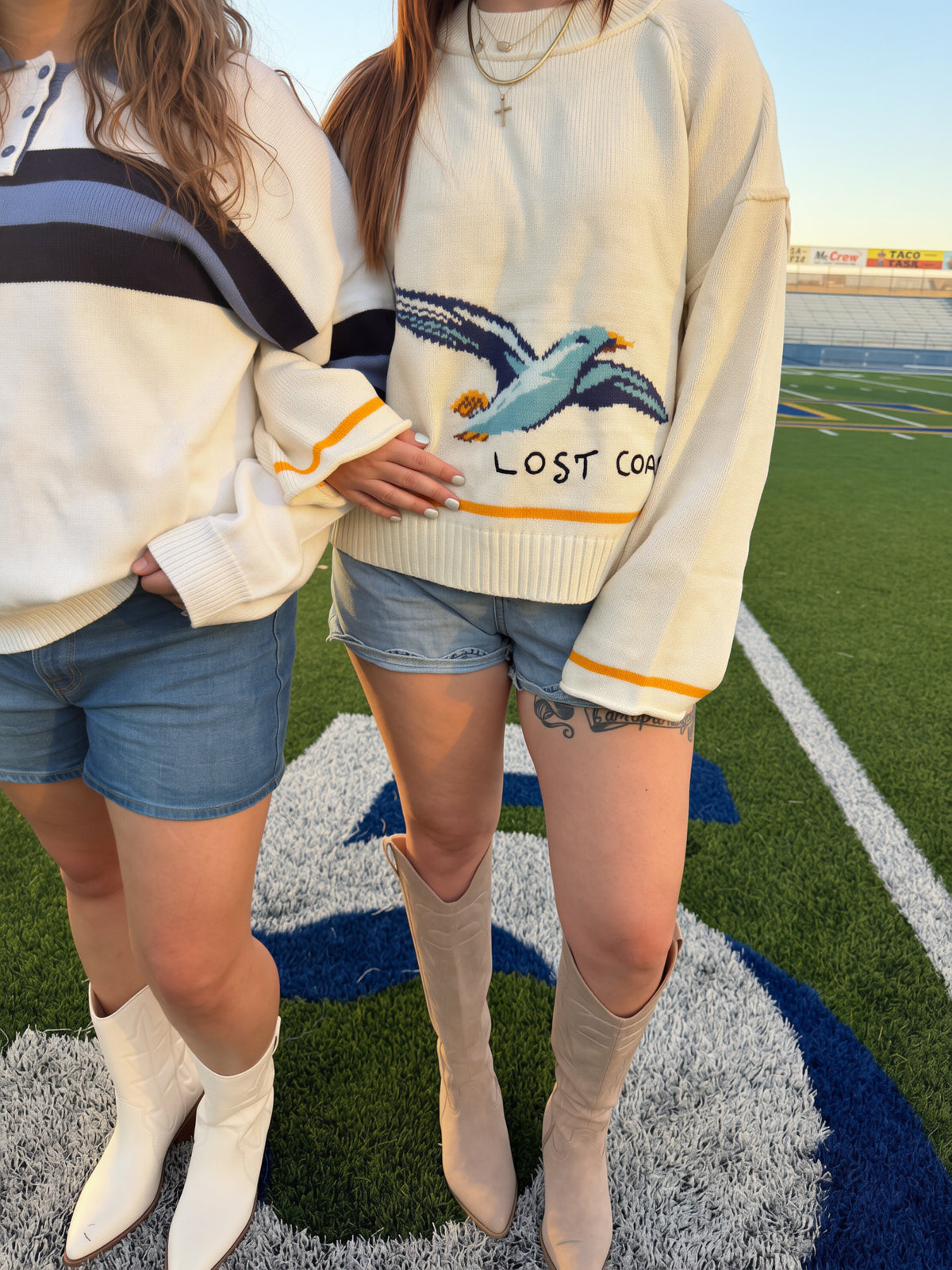 Coastal Seagull Graphic Sweater